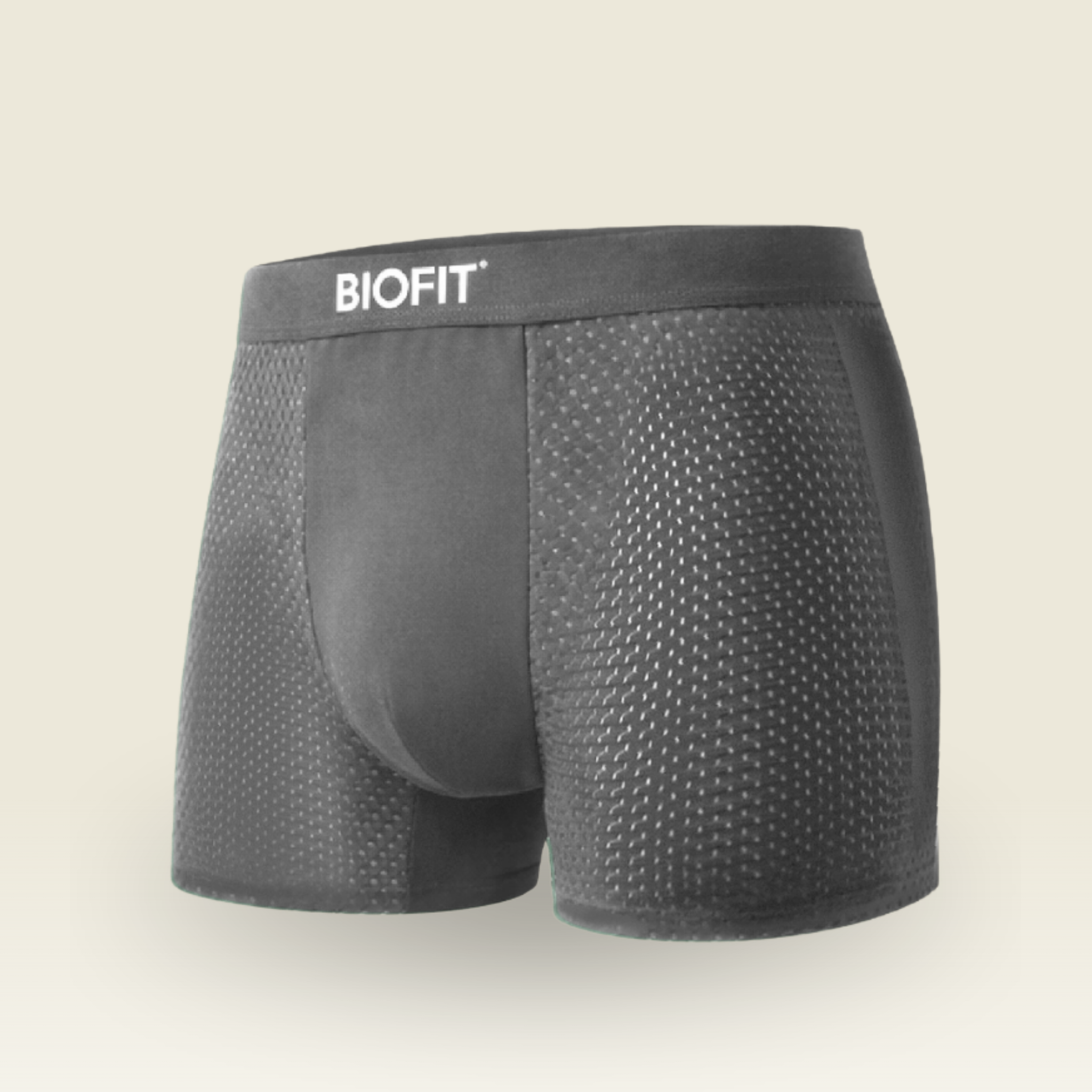 BIOFIT® Essentials Boxer Trunks Grey